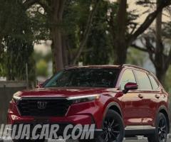 RED DEVIL FOR SALE!!!!!1 - 2